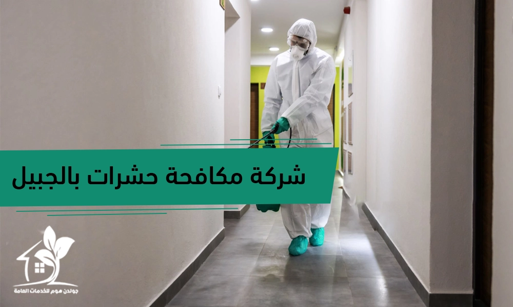 شركة مكافحة حشرات بالجبيل